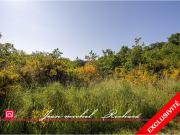 Le Controis en Sologne Vente Terrain 41