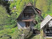 Le Hohwald 67140 Achat / Vente maison 5 pièces t5