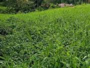 Le Lamentin 97232 Achat / Vente terrain