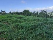 Le Lamentin 97232 Achat / Vente terrain