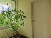 Le Mesnil le Roi 78600 Achat / Vente appartement 2 pièces t2