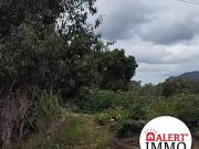 Le Mont Dore 98809 Achat / Vente terrain