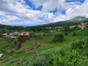 Le Morne Rouge 97260 Achat / Vente terrain