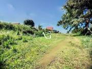 Le Morne Rouge Le Morne Rouge 97260 LS95295348