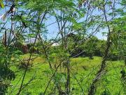 Le Moule 97160 Achat / Vente terrain