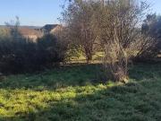 Le Palais sur Vienne 87410 Achat / Vente terrain