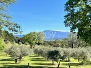 Le Paradis En Provence Propriete D'exception 250m²...