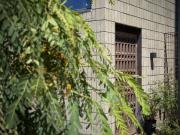 Le Parc 1 Bedroom Apartment for Rent at 2820 Polk Ave,...