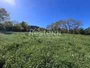 Le Pertuis 43200 Achat / Vente terrain