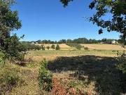 Le Pin 82340 Achat / Vente terrain