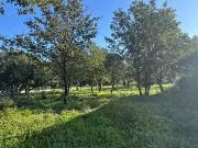 Le Plan de la Tour 83120 Programme neuf terrain neuf à... Le Plan de la Tour 83120 Programme neuf terrain neuf à...