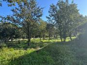 Le Plan de la Tour Vente Terrain 83