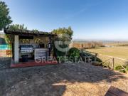 Le Terre di Giano 377m² Paciano