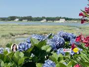 Le Tour du Parc 56370 Achat / Vente maison 7 pièces t7... Le Tour du Parc 56370 Achat / Vente maison 7 pièces t7...