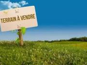 Le Vaudoué 77123 Achat / Vente terrain