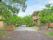 Leafy Living in a Blue Chip Eastern Suburbs Pocket