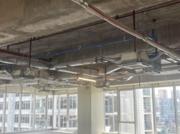 Lease 366sqm Bare Office – West Ave QC Commercial Hub