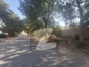 Leased 444 square yard plot for sale in sector x gulshan...