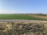 Leben mitten in der Natur!