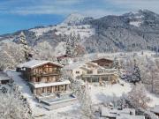 Lebenberg Estate erhaben über Kitzbühel für Generationen