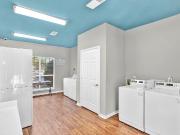 Legacy at Festival 1 Bedroom Apartment for Rent at 500...