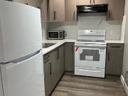 Legal 1 Bedroom Basement Suite – Orchards At Ellerslie