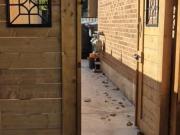 Legal Baseme 182 Skegby Road