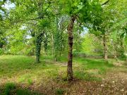 Lège Cap Ferret 33950 Achat / Vente terrain