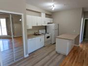 Legislative Estates Apartments | 9731 105 Street