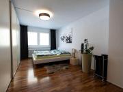 Lehel möblierte großzügige Terrassenwohnung, offener...