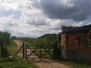 LeilÃ£o Rural De R$889.452,00 Por R$444.726,00