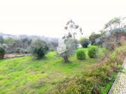 Leiria Leiria 84902189