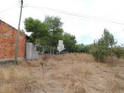 Leiria Leiria 84902193