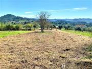 Leiria Leiria 88924601
