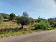 Leiria Leiria 98493749