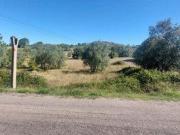 Leiria Leiria 98686080