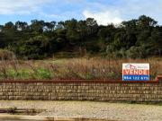 Leiria Óbidos 2510 97378647