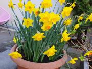 * * LEISTBARER SINGLE HIT in ZENTRALER CITY LAGE. 4...