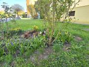 * * LEISTBARES WOHNEN. AM ENDE EINER SACKGASSE GELEGEN...