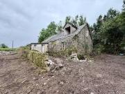 Leo, Ballyhaunis, Co. Mayo is for sale