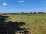 Léognan 33850 Programme neuf terrain neuf à vendre