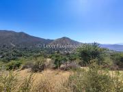 Leon Propiedades vende gran parcela de 3.5 ha. en...