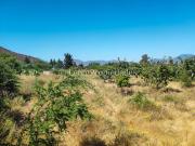 Leon Propiedades vende parcela en condominio el Pangal,...