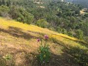 Leon Propiedades vende parcela en condominio Vertientes... Leon Propiedades vende parcela en condominio Vertientes...