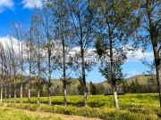 Leon Propiedades vende parcela en exclusivo condominio,...