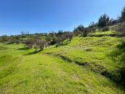 Leon Propiedades vende Parcela en sector Los Naranjos,...