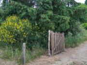 Les Bordes Vente Terrain 45