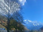 SERVOZ chalet T4 RE2020 de 114 m2 98.67 m2 + 15.34 m2