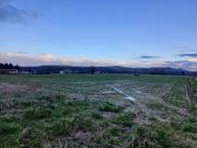 Les Issards Vente Terrain 09