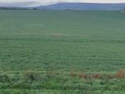 Les Petites Loges 51400 Programme neuf terrain neuf à vendre